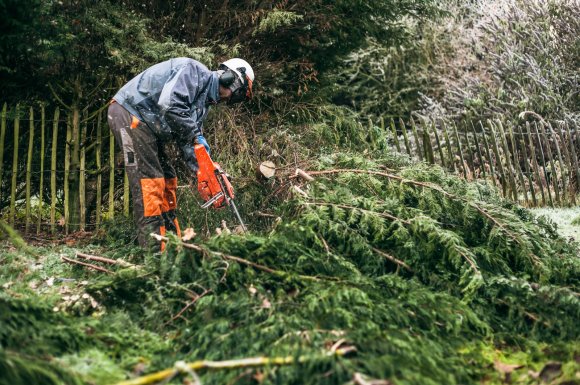 Abattre un arbre qui met en danger une habitation de particulier 