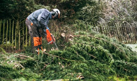 Abattre un arbre qui met en danger une habitation de particulier 